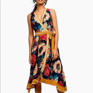Anthropologie Maeve Botanica Dress Size 2